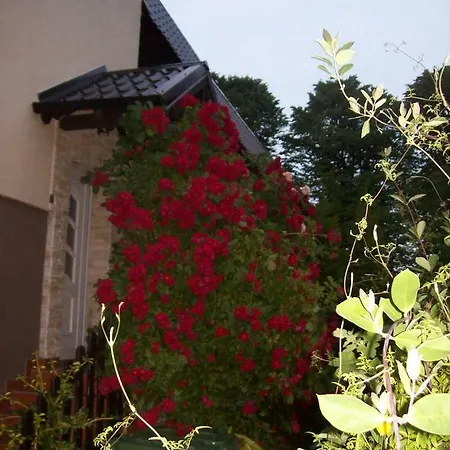 홈스테이 Goscinne Natalia *