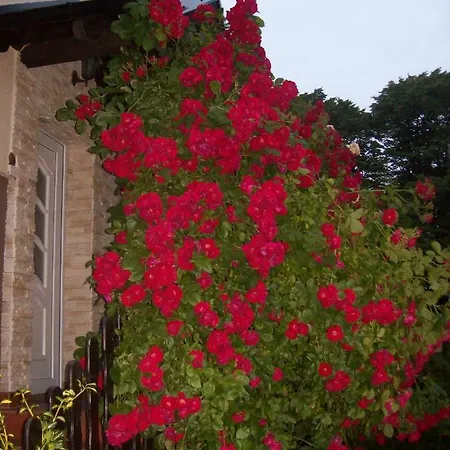 홈스테이 Goscinne Natalia