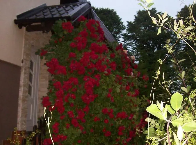 民宿 Goscinne Natalia *