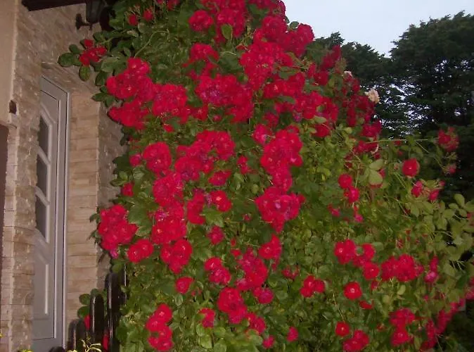 民宿 Goscinne Natalia